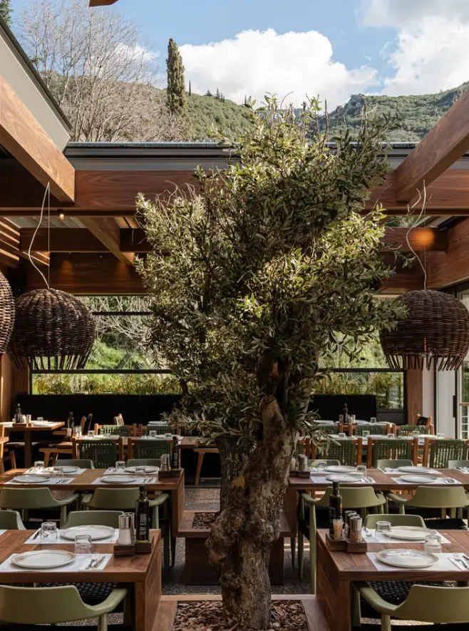 Η ελιά στο κέντρο του Castrizzi Grill με θέα το βουνό